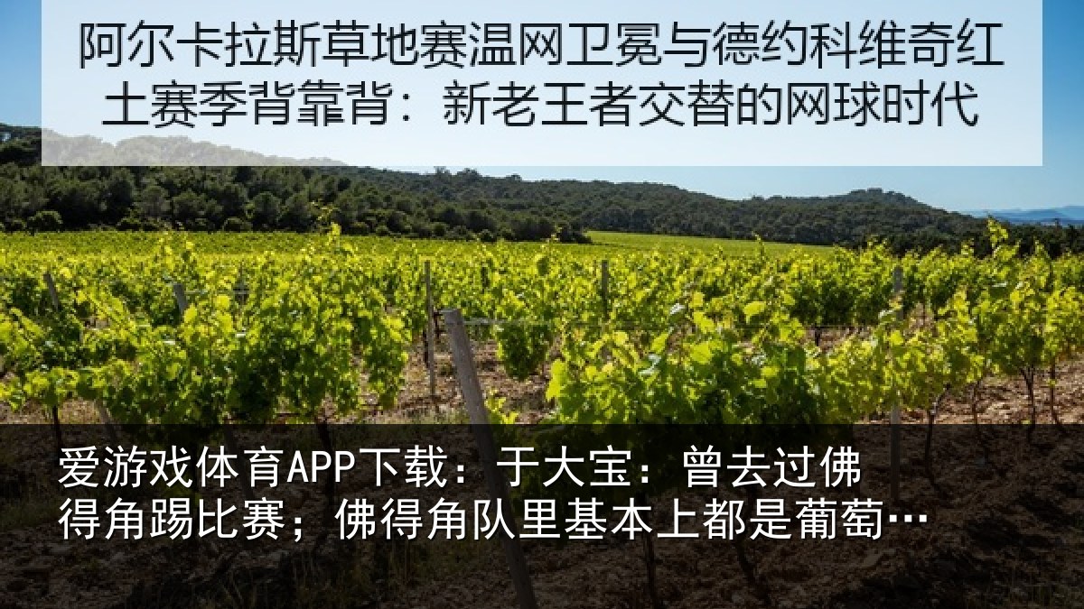 爱游戏体育APP下载：于大宝：曾去相关情况得角相关情况萄牙人