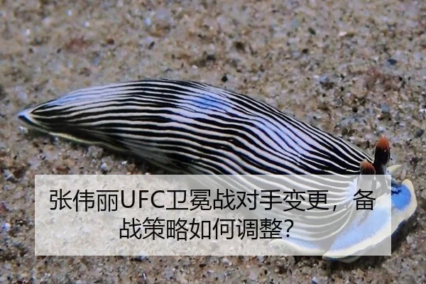 张伟丽UFC卫冕战对手变更，备战策略如何调整？