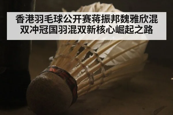 香港羽毛球公开赛蒋振邦魏雅欣混双冲冠国羽混双新核心崛起之路